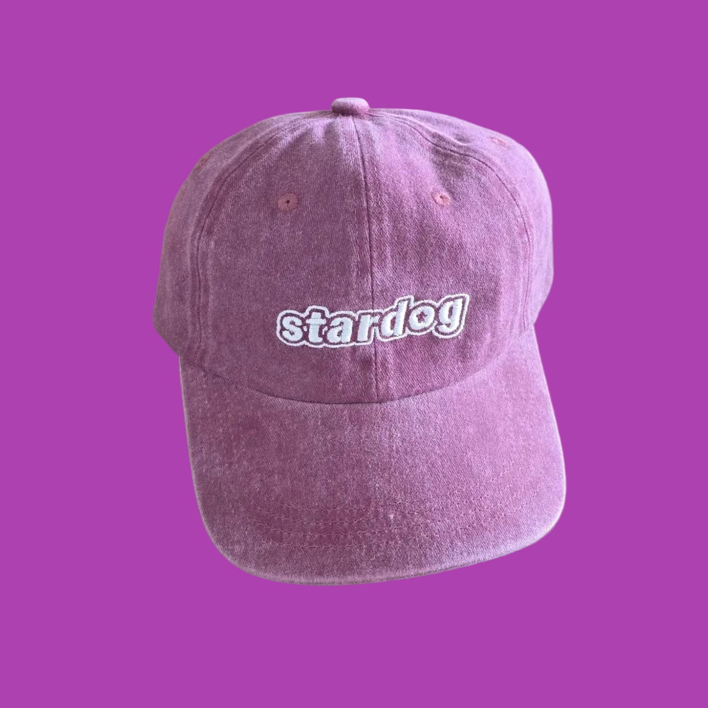 stardog Logo Cap – Washed 6-Panel Hat