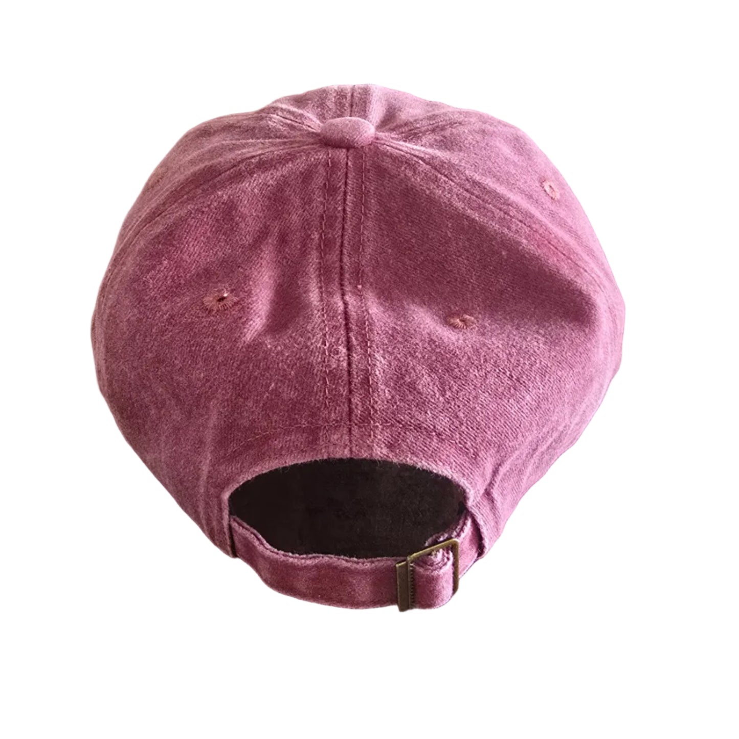 stardog Logo Cap – Washed 6-Panel Hat