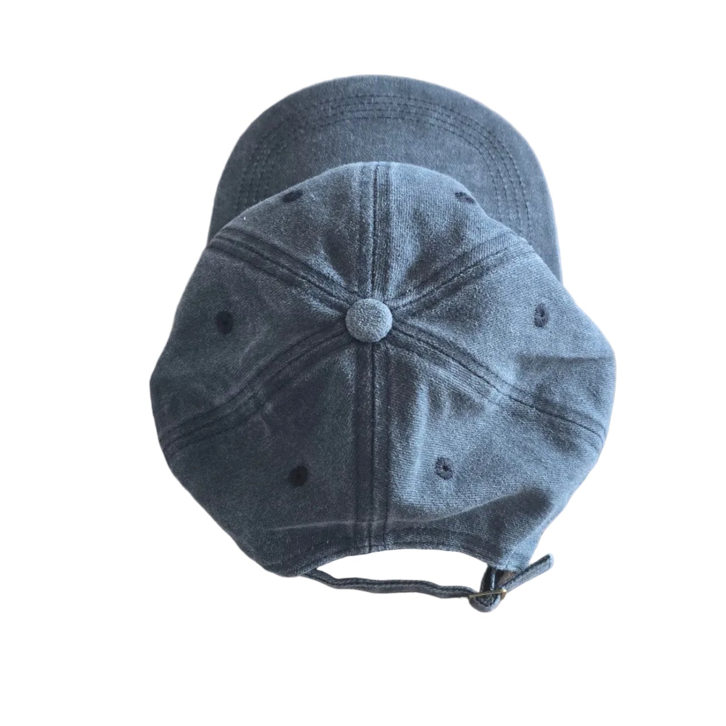 stardog Logo Cap – Washed 6-Panel Hat