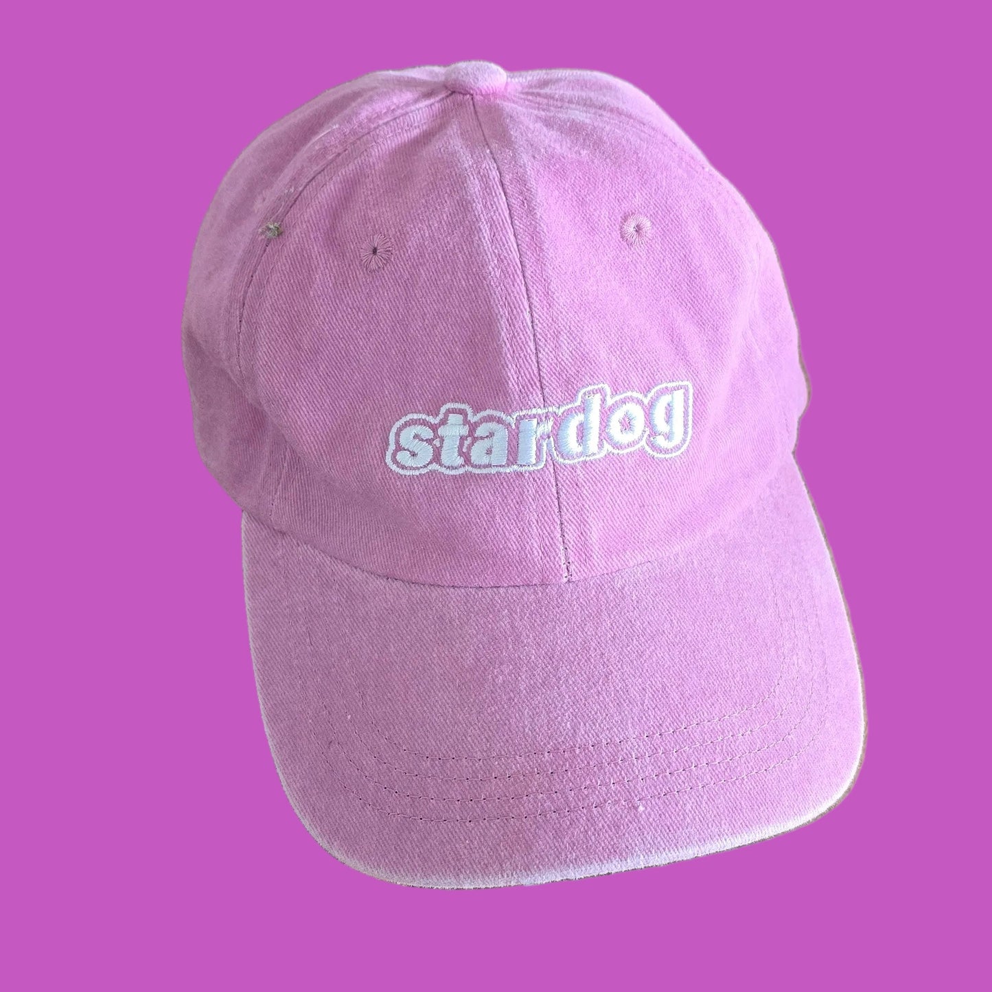stardog Logo Cap – Washed 6-Panel Hat
