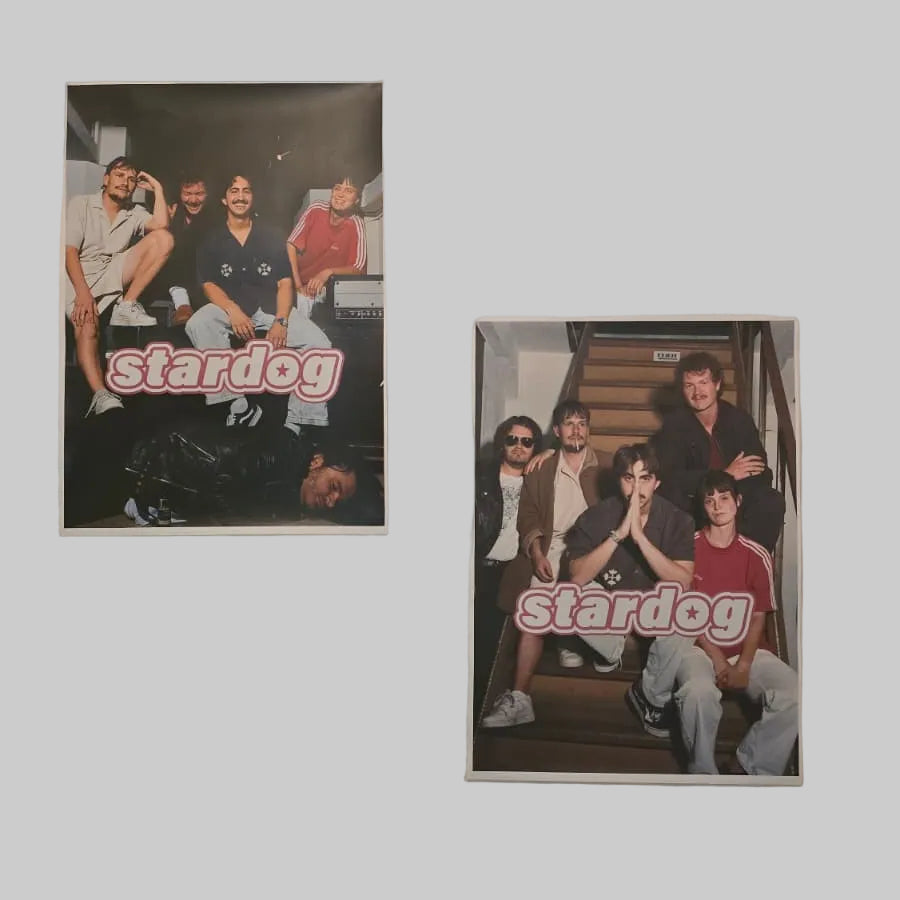 Two posters of a band named 'stardog' on a wall with additional stickers below.